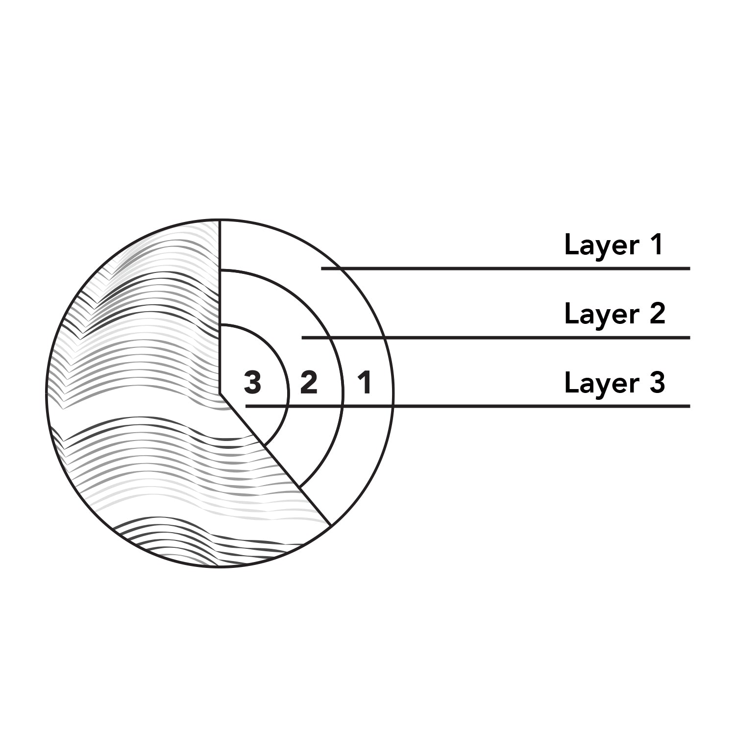 Graphic showcasing layers of the cuticle