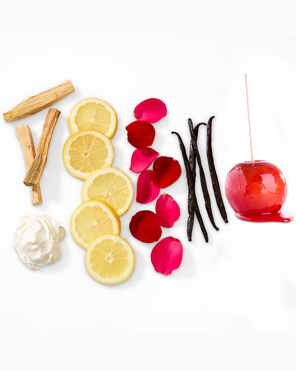 A flat lay of ingredients arranged in rows on a white background. From left to right: wood sticks, lemon slices, red rose petals, vanilla beans, a red candy apple with a wooden stick, and a dollop of whipped cream. The arrangement suggests scenc.